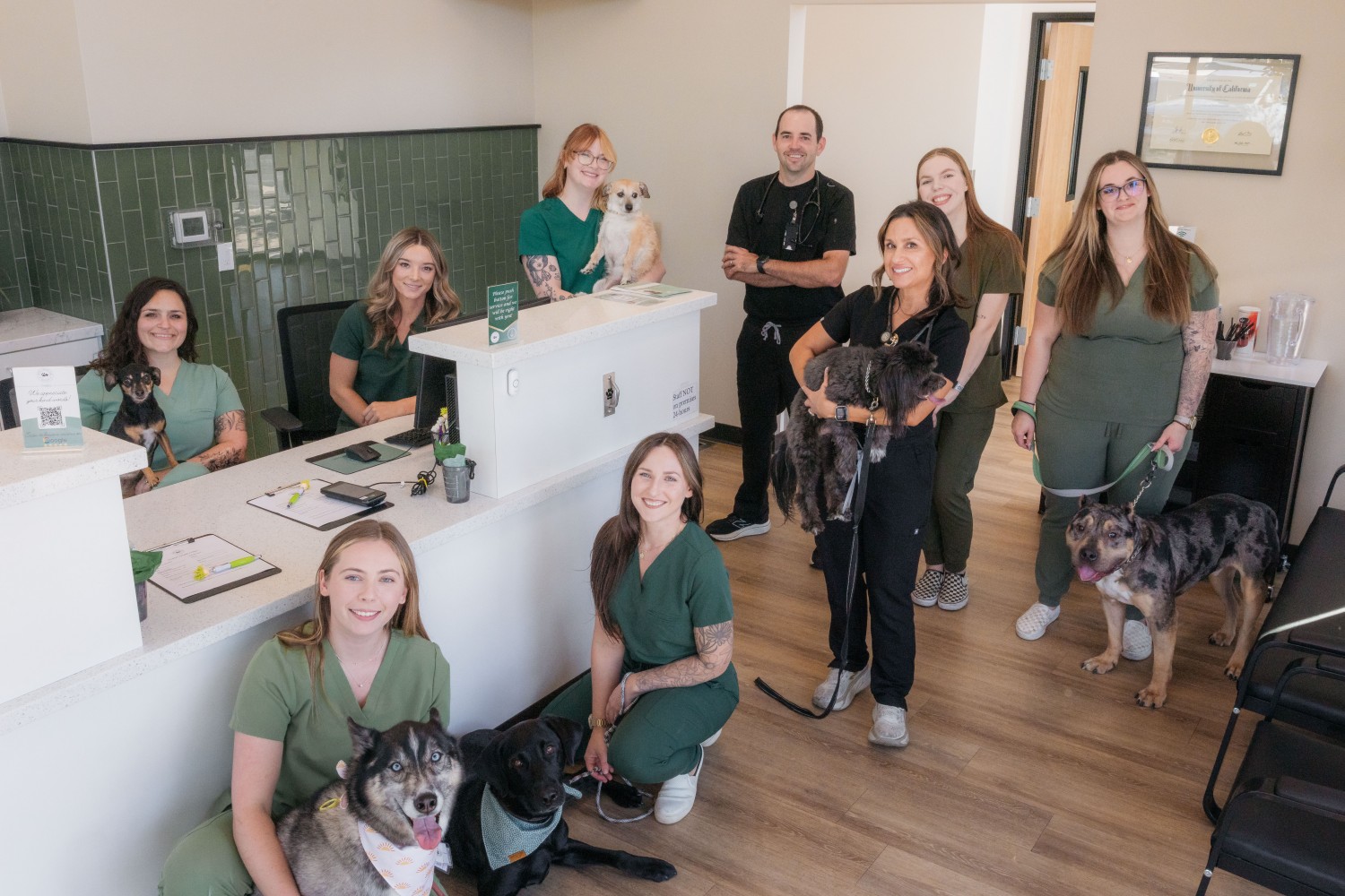 Animal Urgent Care of Rocklin - Veterinary Team