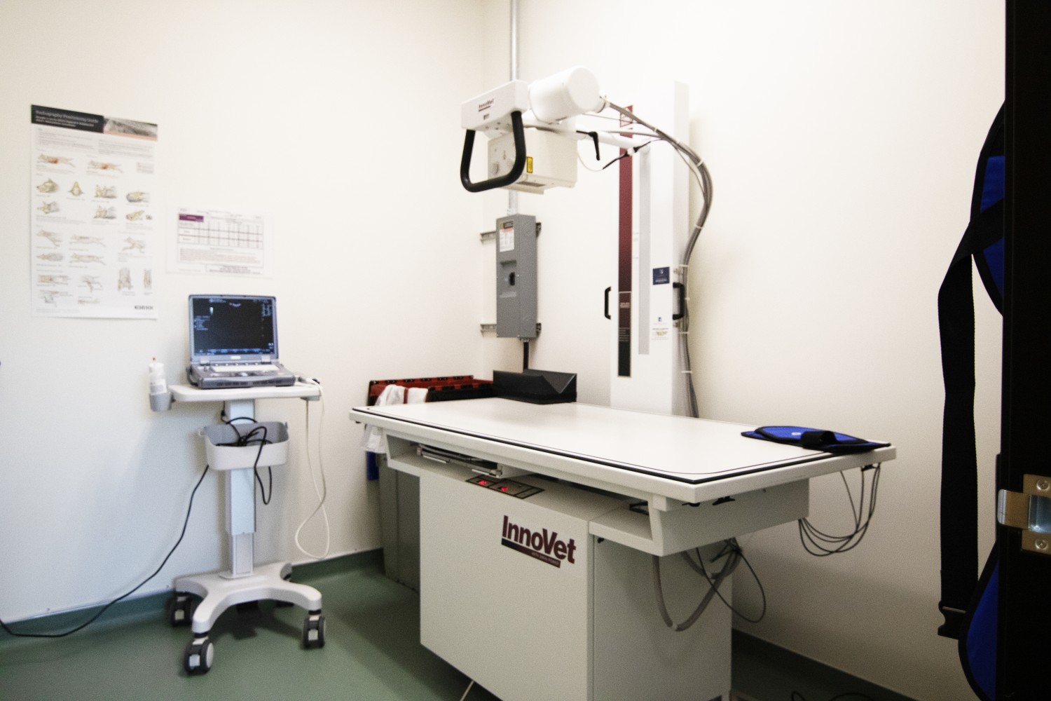 Radiology 