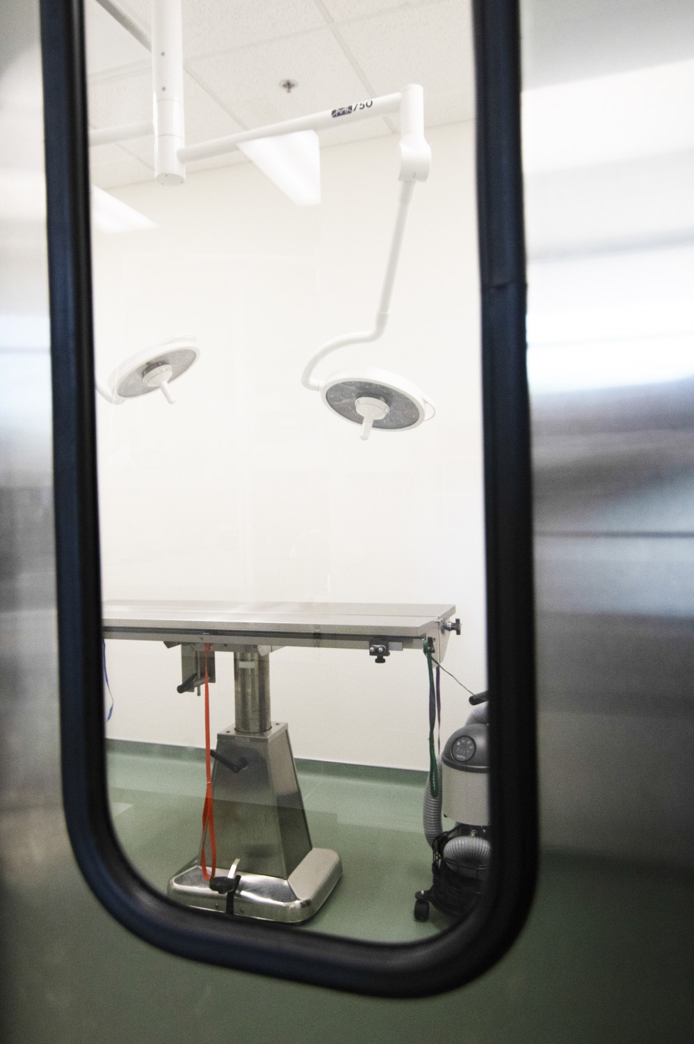 Surgery Window