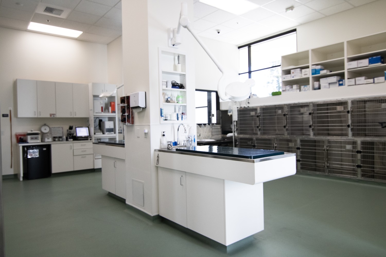 Treatment Area