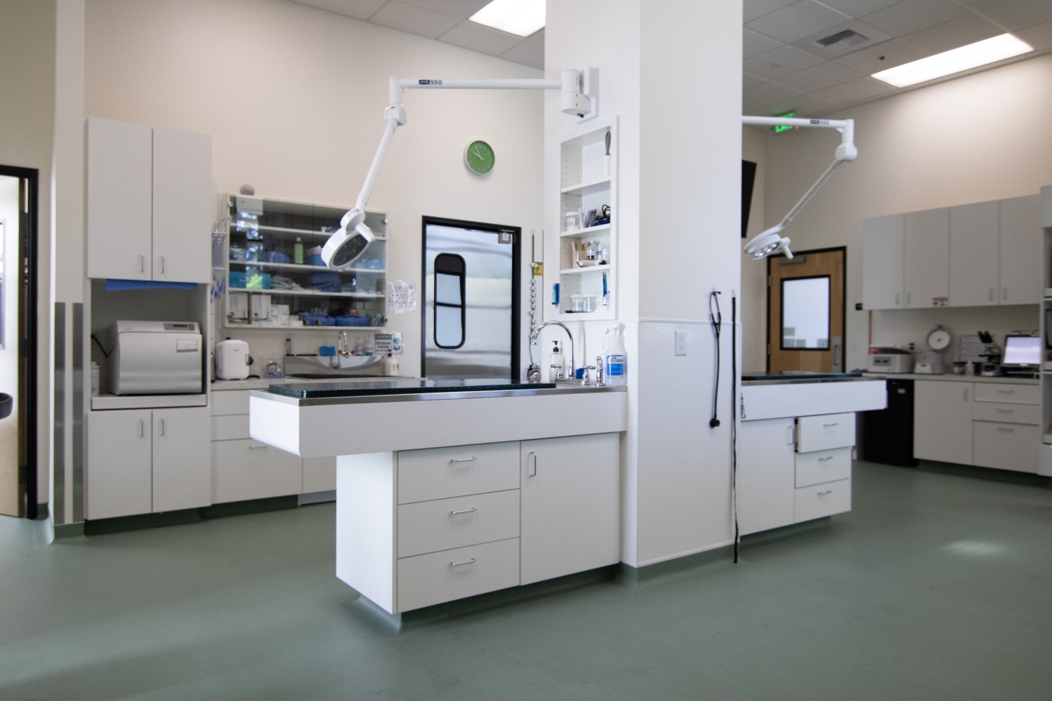 Treatment Area
