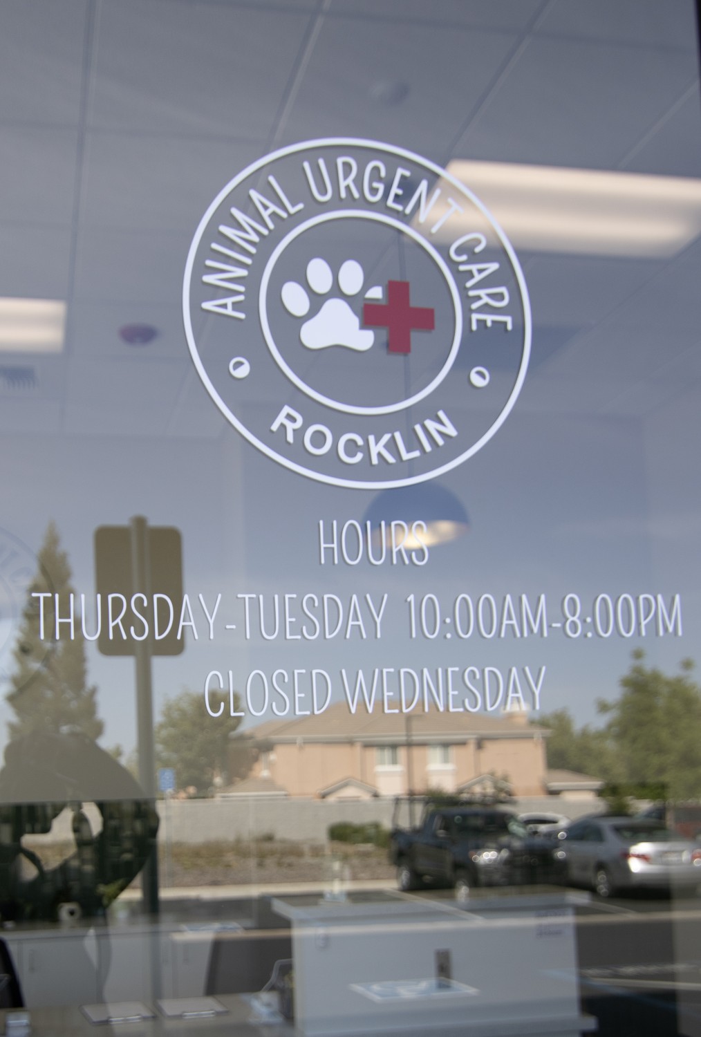 Window Decal