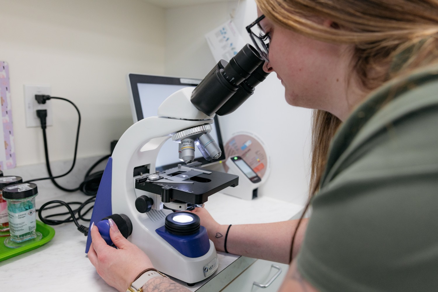 Looking in the microscope